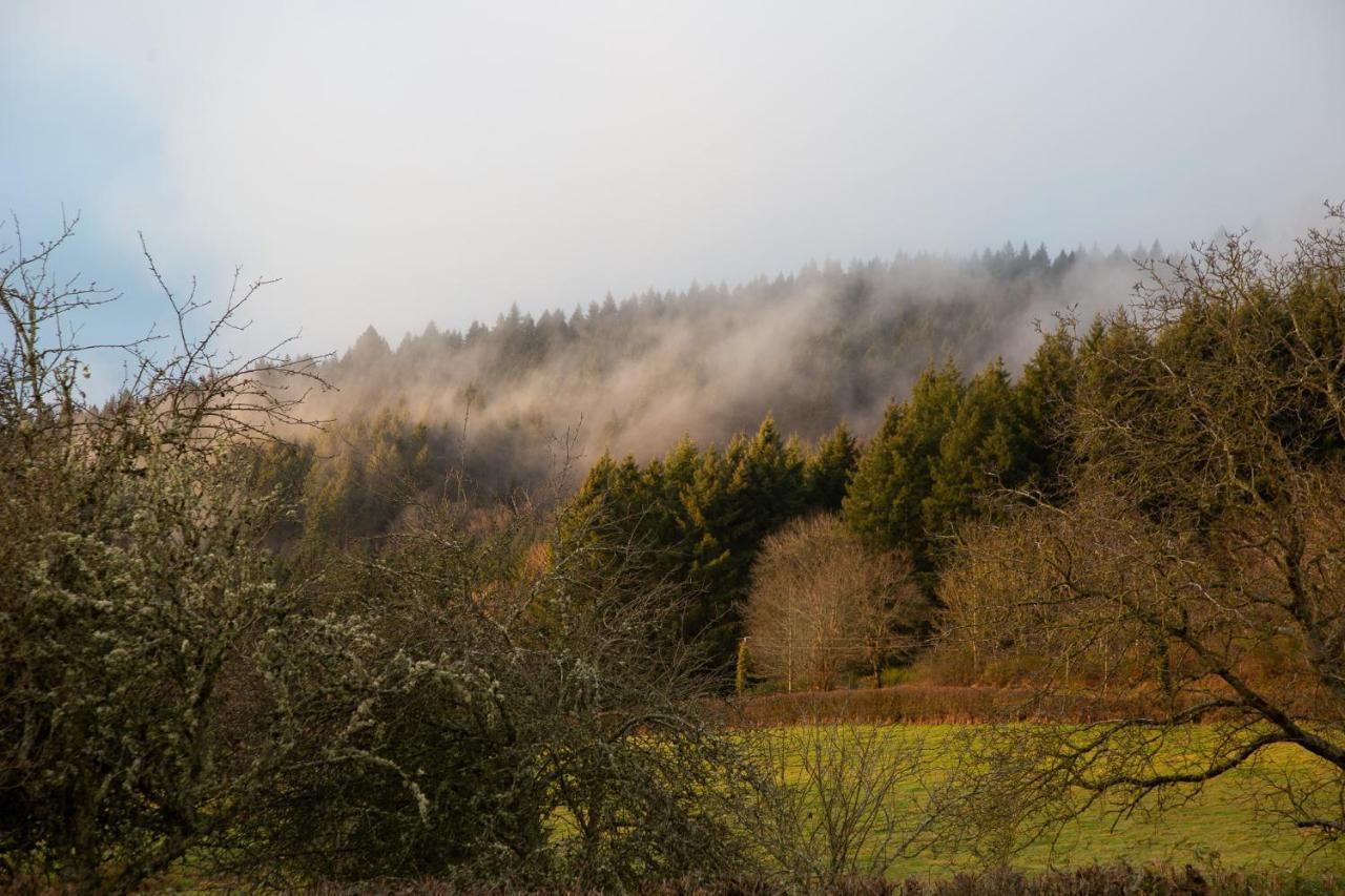 Haute Dône, een vakantiehuis met 2 slaapkamers, rust en natuur Luzy Extérieur photo